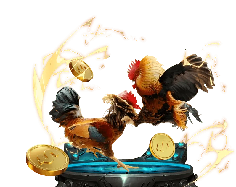 Cá cược đá gà Campuchia 79SODO